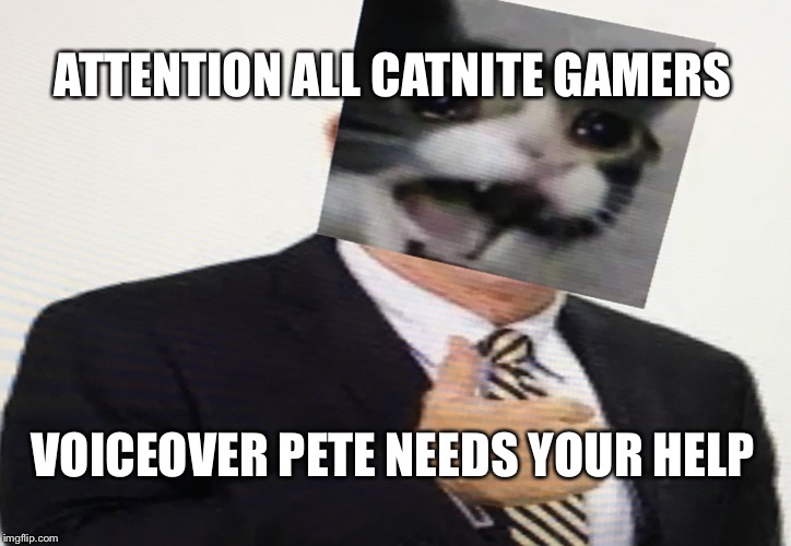 Voiceover Pete the Cat | ATTENTION ALL CATNITE GAMERS; VOICEOVER PETE NEEDS YOUR HELP | image tagged in voiceover pete the cat | made w/ Imgflip meme maker