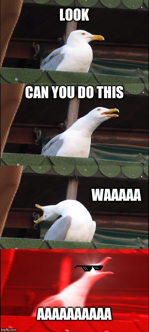 Inhaling Seagull | LOOK; CAN YOU DO THIS; WAAAAA; AAAAAAAAAA | image tagged in memes,inhaling seagull | made w/ Imgflip meme maker