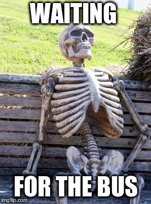 Waiting Skeleton | WAITING; FOR THE BUS | image tagged in memes,waiting skeleton | made w/ Imgflip meme maker