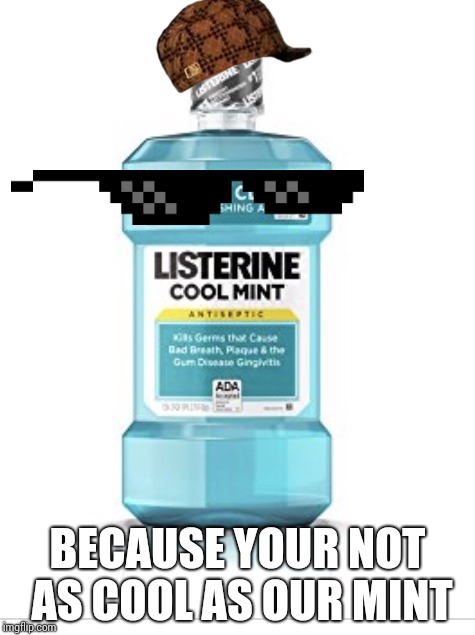Listerine | BECAUSE YOUR NOT AS COOL AS OUR MINT | image tagged in listerine | made w/ Imgflip meme maker