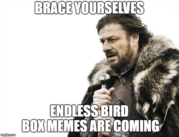 Brace Yourselves X is Coming Meme | BRACE YOURSELVES; ENDLESS BIRD BOX MEMES ARE COMING | image tagged in memes,brace yourselves x is coming | made w/ Imgflip meme maker