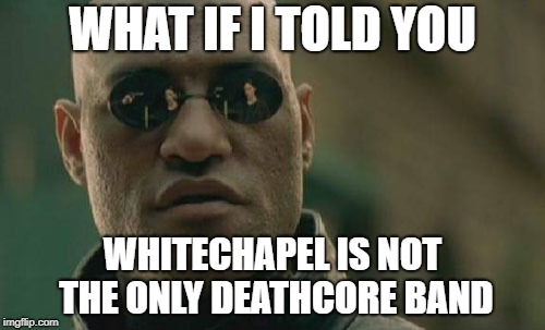 Matrix Morpheus Meme | WHAT IF I TOLD YOU; WHITECHAPEL IS NOT THE ONLY DEATHCORE BAND | image tagged in memes,matrix morpheus | made w/ Imgflip meme maker