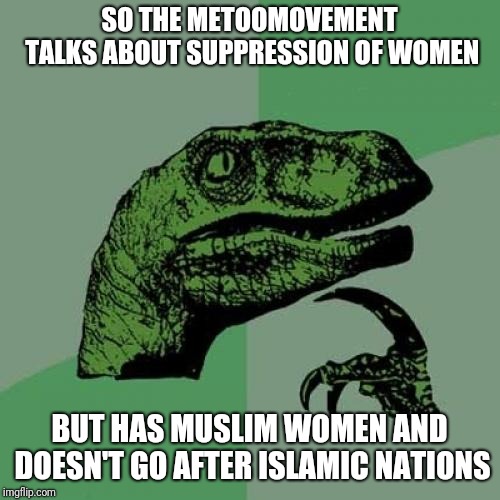 Philosoraptor | SO THE METOOMOVEMENT TALKS ABOUT SUPPRESSION OF WOMEN; BUT HAS MUSLIM WOMEN AND DOESN'T GO AFTER ISLAMIC NATIONS | image tagged in memes,philosoraptor | made w/ Imgflip meme maker