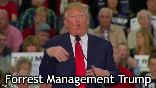 Trump disabled | Forrest Management Trump | image tagged in trump disabled | made w/ Imgflip meme maker