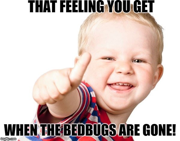 Thumbs Up...Bedbugs Gone | THAT FEELING YOU GET; WHEN THE BEDBUGS ARE GONE! | image tagged in thumbs up kid,thumbs up,bedbugs,happy kid,hell yeah | made w/ Imgflip meme maker