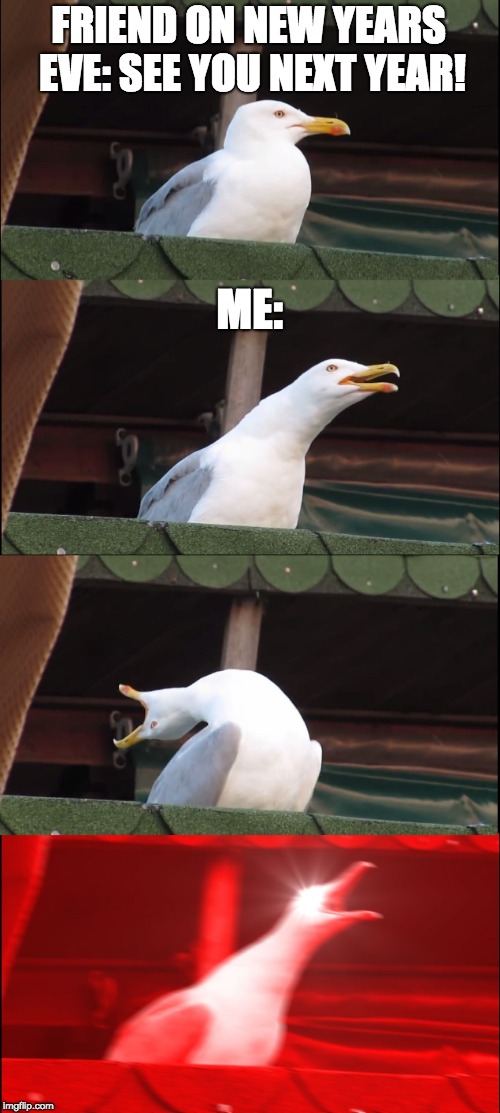 Inhaling Seagull | FRIEND ON NEW YEARS EVE: SEE YOU NEXT YEAR! ME: | image tagged in memes,inhaling seagull | made w/ Imgflip meme maker