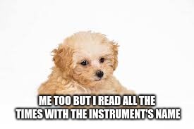 Kill me later | ME TOO BUT I READ ALL THE TIMES WITH THE INSTRUMENT'S NAME | image tagged in kill me later | made w/ Imgflip meme maker