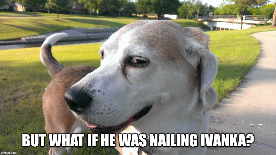 Interested Dog | BUT WHAT IF HE WAS NAILING IVANKA? | image tagged in interested dog | made w/ Imgflip meme maker