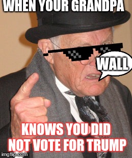 Back In My Day Meme | WHEN YOUR GRANDPA; WALL; KNOWS YOU DID NOT VOTE FOR TRUMP | image tagged in memes,back in my day | made w/ Imgflip meme maker