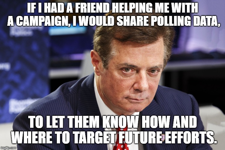 Paul Manafort | IF I HAD A FRIEND HELPING ME WITH A CAMPAIGN, I WOULD SHARE POLLING DATA, TO LET THEM KNOW HOW AND WHERE TO TARGET FUTURE EFFORTS. | image tagged in paul manafort | made w/ Imgflip meme maker