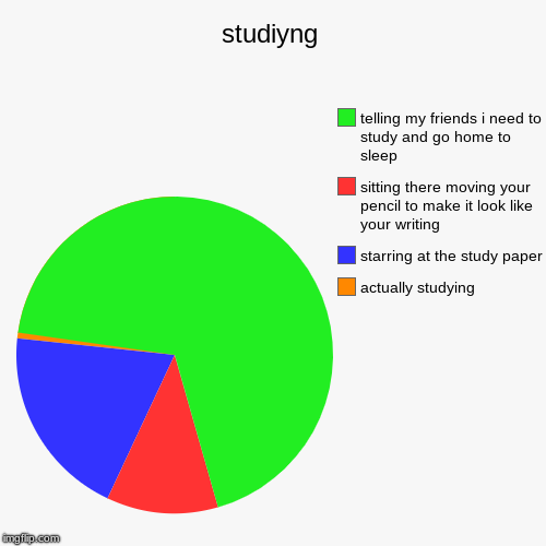 studiyng | actually studying , starring at the study paper, sitting there moving your pencil to make it look like your writing, telling my f | image tagged in funny,pie charts | made w/ Imgflip chart maker