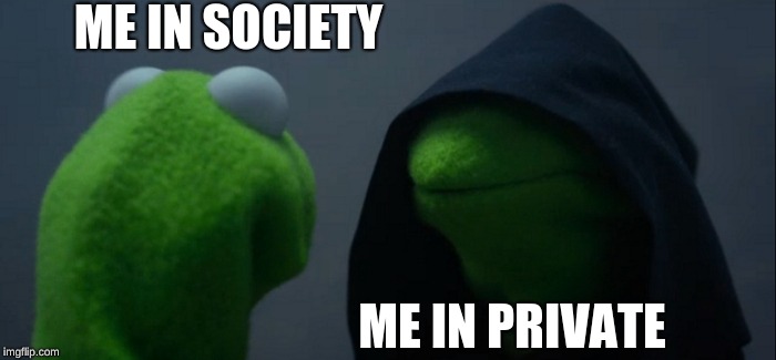 Evil Kermit Meme | ME IN SOCIETY; ME IN PRIVATE | image tagged in memes,evil kermit | made w/ Imgflip meme maker