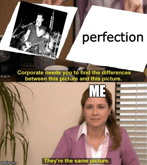 They're The Same Picture Meme | perfection; ME | image tagged in office same picture | made w/ Imgflip meme maker