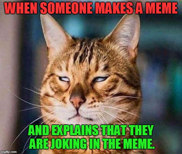 I have to fight myself to keep from making smart alec remarks on these kind.  | WHEN SOMEONE MAKES A MEME; AND EXPLAINS THAT THEY ARE JOKING IN THE MEME. | image tagged in that face you make eyeroll cat,nixieknox,memes,cats | made w/ Imgflip meme maker