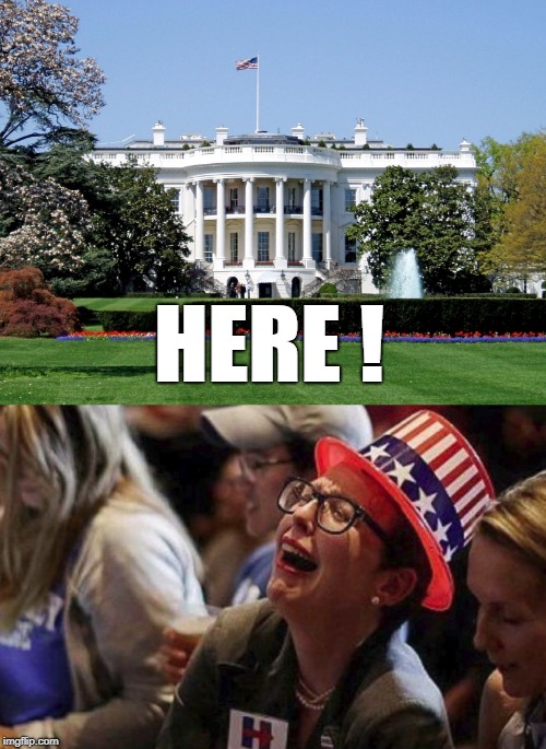 HERE ! | image tagged in white house | made w/ Imgflip meme maker