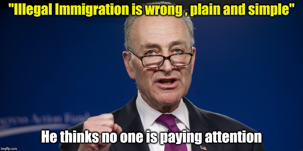Who's playing Politics with the wall ? | "Illegal Immigration is wrong , plain and simple"; He thinks no one is paying attention | image tagged in chuck schumer,hypocrisy,government corruption,stay at home mom,can't blank if you don't blank | made w/ Imgflip meme maker
