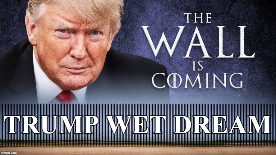 Trump Wet Dream: The Wall is Coming | TRUMP WET DREAM | image tagged in trump,trump wall,the wall | made w/ Imgflip meme maker