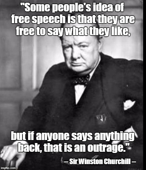 The first amendment guarantees your right to be an idiot.  It also protects my right to shred you for it. | . | image tagged in winston churchill,1st amendment,snowflakes,debate | made w/ Imgflip meme maker