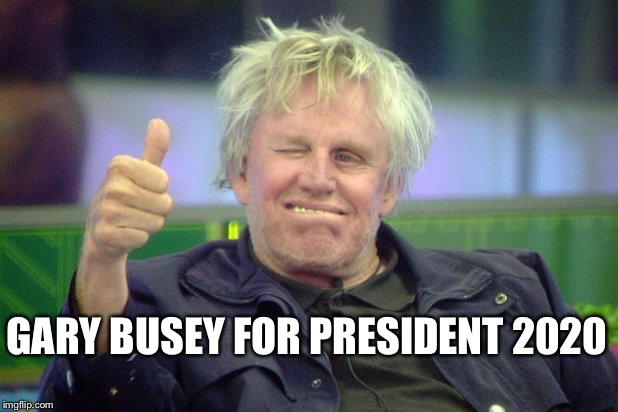 Gary Busey | GARY BUSEY FOR PRESIDENT 2020 | image tagged in gary busey | made w/ Imgflip meme maker