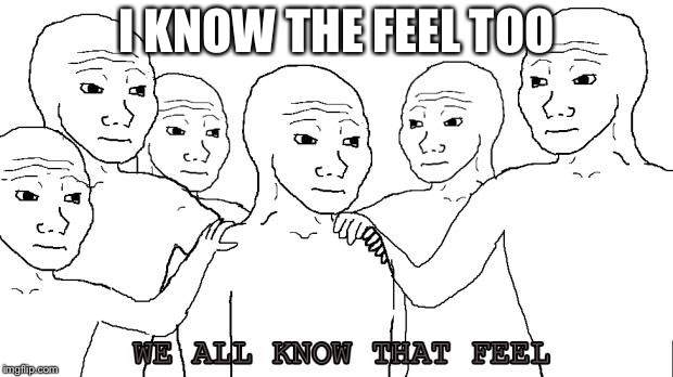 i know that feel bro | I KNOW THE FEEL TOO | image tagged in i know that feel bro | made w/ Imgflip meme maker