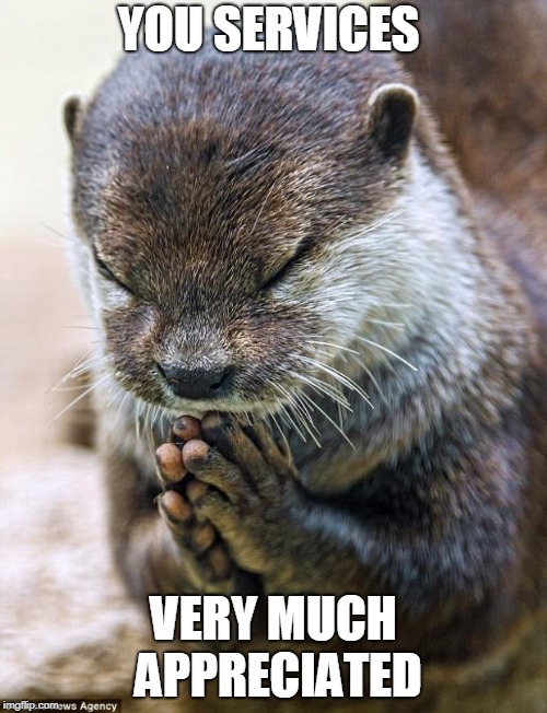 Thank you Lord Otter | YOU SERVICES; VERY MUCH APPRECIATED | image tagged in thank you lord otter | made w/ Imgflip meme maker