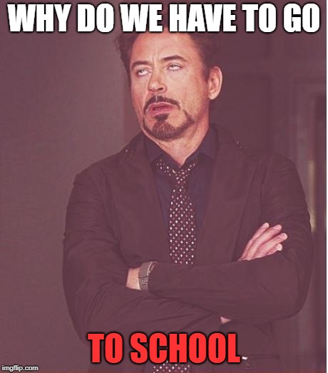 Face You Make Robert Downey Jr | WHY DO WE HAVE TO GO; TO SCHOOL | image tagged in memes,face you make robert downey jr | made w/ Imgflip meme maker