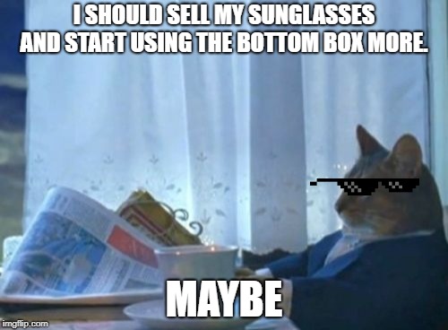 I Should Buy A Boat Cat Meme | I SHOULD SELL MY SUNGLASSES AND START USING THE BOTTOM BOX MORE. MAYBE | image tagged in memes,i should buy a boat cat | made w/ Imgflip meme maker