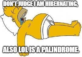 Sleeping Homer | DON'T JUDGE I AM HIBERNATING, ALSO LOL IS A PALINDROME. | image tagged in sleeping homer | made w/ Imgflip meme maker