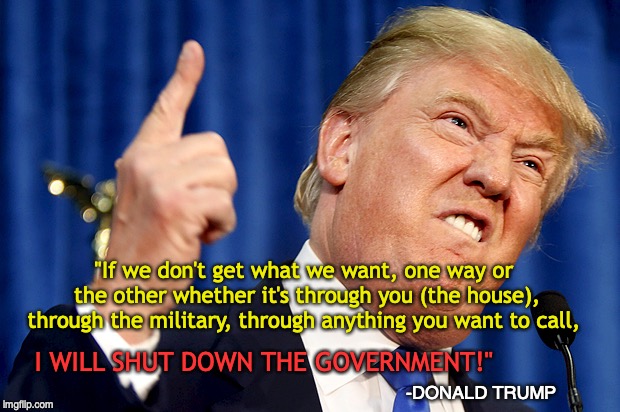 Donald Trump | I WILL SHUT DOWN THE GOVERNMENT!" "If we don't get what we want, one way or the other whether it's through you (the house), through the mili | image tagged in donald trump | made w/ Imgflip meme maker