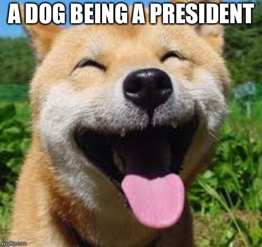 Happy Doge | A DOG BEING A PRESIDENT | image tagged in happy doge | made w/ Imgflip meme maker