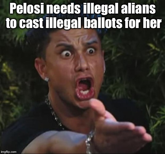 DJ Pauly D Meme | Pelosi needs illegal alians to cast illegal ballots for her | image tagged in memes,dj pauly d | made w/ Imgflip meme maker