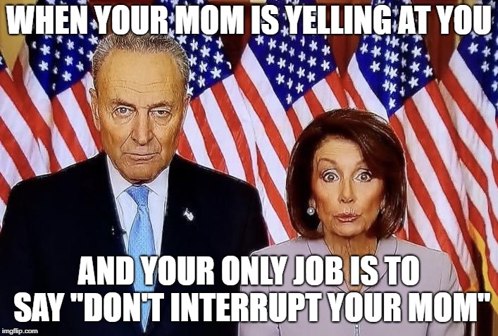 Schumer and Pelosi | WHEN YOUR MOM IS YELLING AT YOU; AND YOUR ONLY JOB IS TO SAY "DON'T INTERRUPT YOUR MOM" | image tagged in schumer and pelosi | made w/ Imgflip meme maker