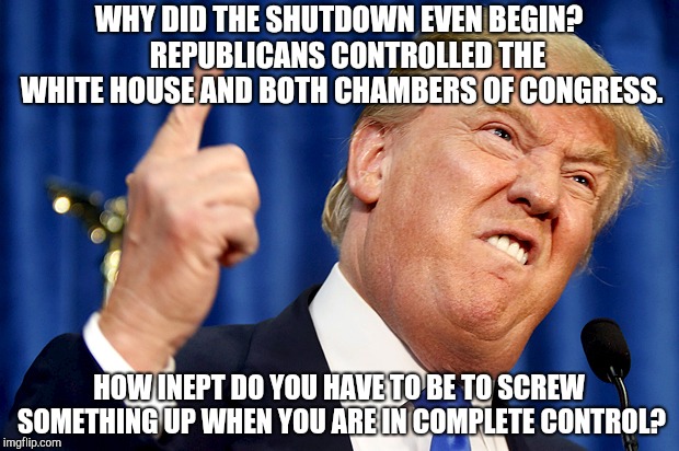 Donald Trump | WHY DID THE SHUTDOWN EVEN BEGIN?   REPUBLICANS CONTROLLED THE WHITE HOUSE AND BOTH CHAMBERS OF CONGRESS. HOW INEPT DO YOU HAVE TO BE TO SCREW SOMETHING UP WHEN YOU ARE IN COMPLETE CONTROL? | image tagged in donald trump | made w/ Imgflip meme maker