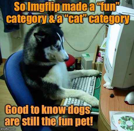 This is fun, so it shall not be posted under “cats” | So Imgflip made a “fun” category & a “cat” category; Good to know dogs are still the fun pet! | image tagged in memes,i have no idea what i am doing,cat memes,fun memes,dog memes,dogs better than cats | made w/ Imgflip meme maker