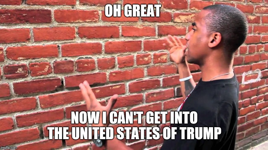 Talking to wall | OH GREAT NOW I CAN'T GET INTO THE UNITED STATES OF TRUMP | image tagged in talking to wall | made w/ Imgflip meme maker