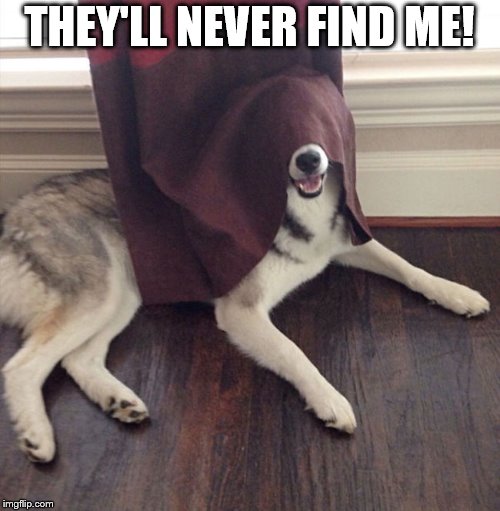 THEY'LL NEVER FIND ME! | made w/ Imgflip meme maker