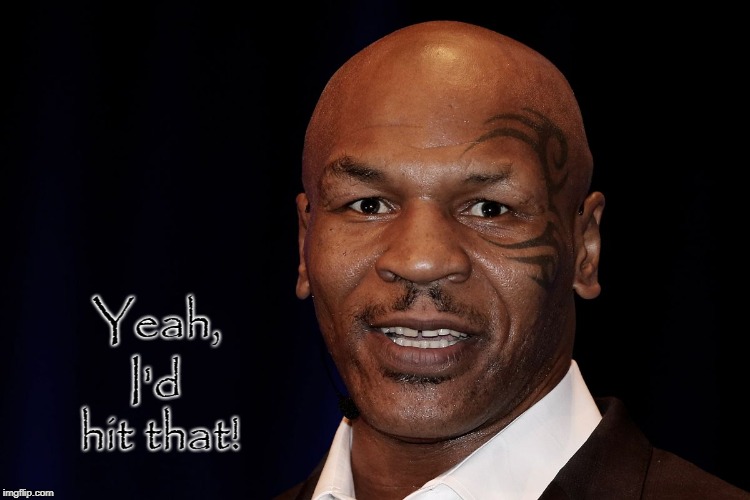Mike Tyson | I'd hit that! Yeah, | image tagged in mike tyson | made w/ Imgflip meme maker