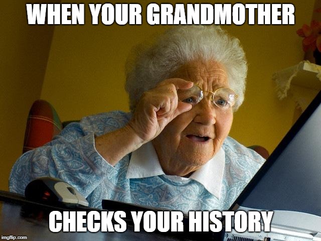 Grandma Finds The Internet Meme | WHEN YOUR GRANDMOTHER; CHECKS YOUR HISTORY | image tagged in memes,grandma finds the internet | made w/ Imgflip meme maker