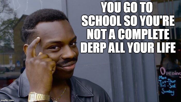 Roll Safe Think About It Meme | YOU GO TO SCHOOL SO YOU'RE NOT A COMPLETE DERP ALL YOUR LIFE | image tagged in memes,roll safe think about it | made w/ Imgflip meme maker