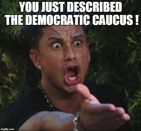 DJ Pauly D Meme | YOU JUST DESCRIBED THE DEMOCRATIC CAUCUS ! | image tagged in memes,dj pauly d | made w/ Imgflip meme maker