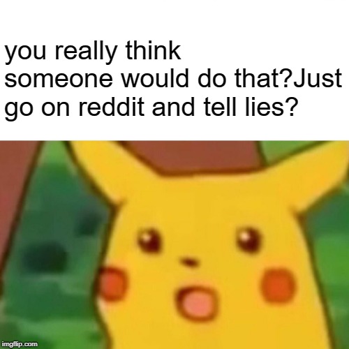 Surprised Pikachu Meme | you really think someone would do that?Just go on reddit and tell lies? | image tagged in memes,surprised pikachu | made w/ Imgflip meme maker