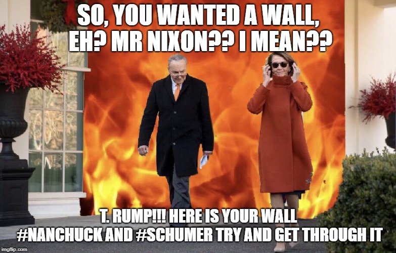 SO, YOU WANTED A WALL, EH? MR NIXON?? I MEAN?? T. RUMP!!! HERE IS YOUR WALL #NANCHUCK AND #SCHUMER TRY AND GET THROUGH IT | image tagged in you wanted a wall mr nixon i mean t rump | made w/ Imgflip meme maker
