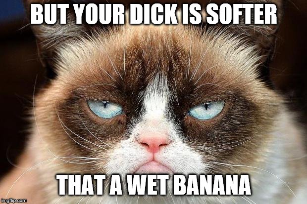 Grumpy Cat Not Amused Meme | BUT YOUR DICK IS SOFTER THAT A WET BANANA | image tagged in memes,grumpy cat not amused,grumpy cat | made w/ Imgflip meme maker