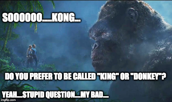 Call me KING | SOOOOOO.....KONG... DO YOU PREFER TO BE CALLED "KING" OR "DONKEY"? YEAH....STUPID QUESTION....MY BAD.... | image tagged in funny meme | made w/ Imgflip meme maker