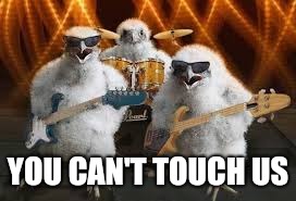 Chicken Musicians | YOU CAN'T TOUCH US | image tagged in chicken musicians | made w/ Imgflip meme maker