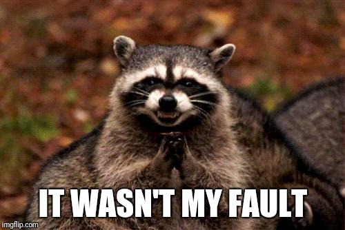 Evil Plotting Raccoon Meme | IT WASN'T MY FAULT | image tagged in memes,evil plotting raccoon | made w/ Imgflip meme maker