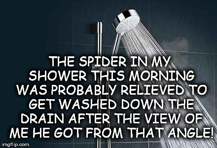 Shower | THE SPIDER IN MY SHOWER THIS MORNING WAS PROBABLY RELIEVED TO GET WASHED DOWN THE DRAIN AFTER THE VIEW OF ME HE GOT FROM THAT ANGLE! | image tagged in shower | made w/ Imgflip meme maker
