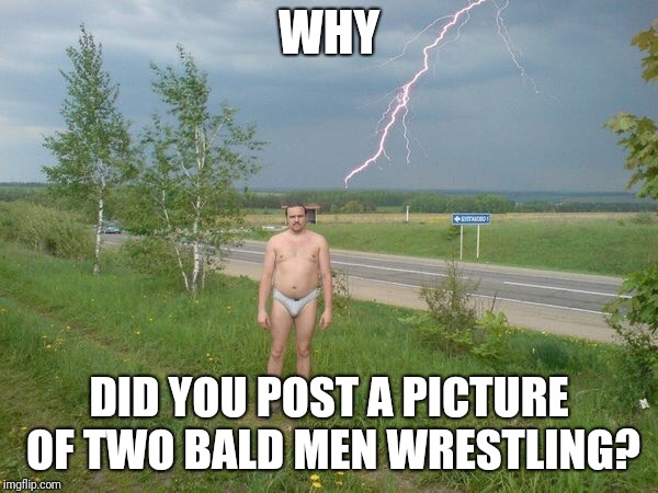 Why | WHY DID YOU POST A PICTURE OF TWO BALD MEN WRESTLING? | image tagged in why | made w/ Imgflip meme maker