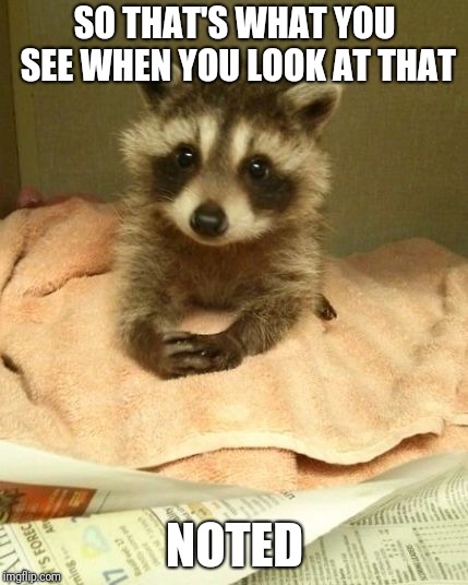 trash panda therapist | SO THAT'S WHAT YOU SEE WHEN YOU LOOK AT THAT NOTED | image tagged in trash panda therapist | made w/ Imgflip meme maker