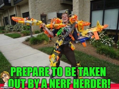 Nerfed | PREPARE TO BE TAKEN OUT BY A NERF HERDER! | image tagged in nerfed | made w/ Imgflip meme maker